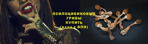 гидропоника Богданович