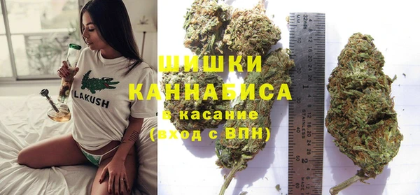 ГАЛЛЮЦИНОГЕННЫЕ ГРИБЫ Богородск