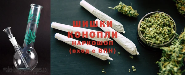 ГАЛЛЮЦИНОГЕННЫЕ ГРИБЫ Богородск