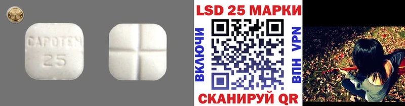 Лсд 25 экстази кислота  Купить закладки  Пудож 